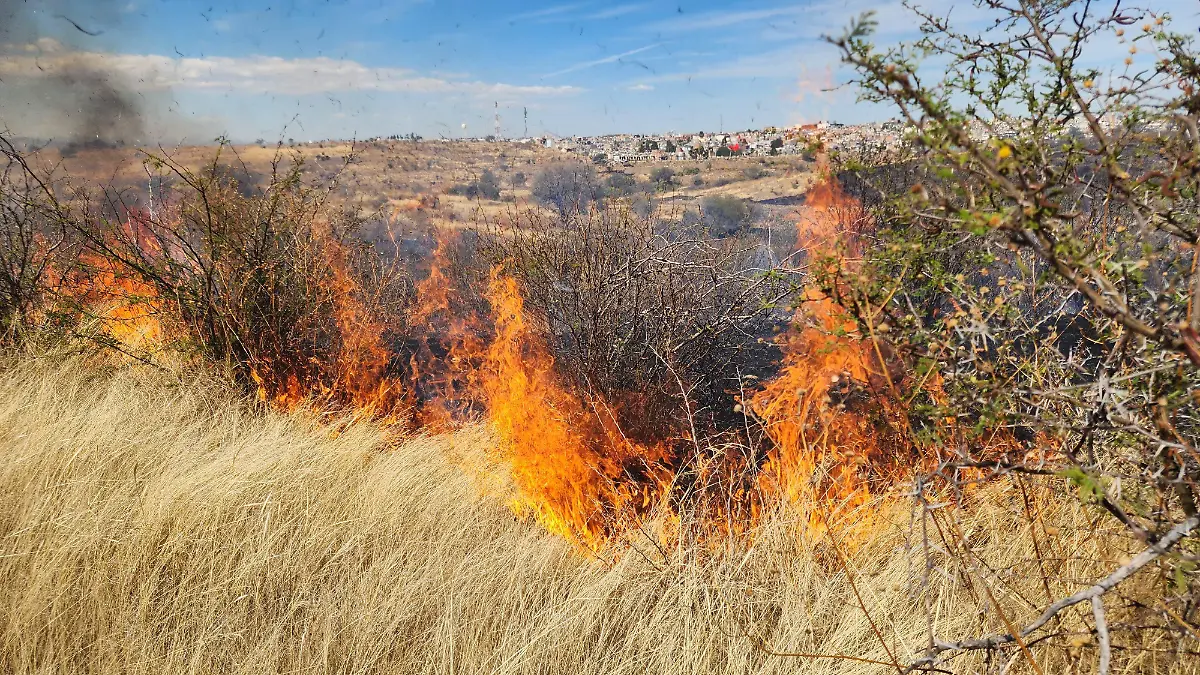 INCENDIOS (1)